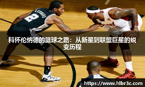 mk体育官网