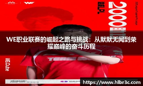 mk体育官网